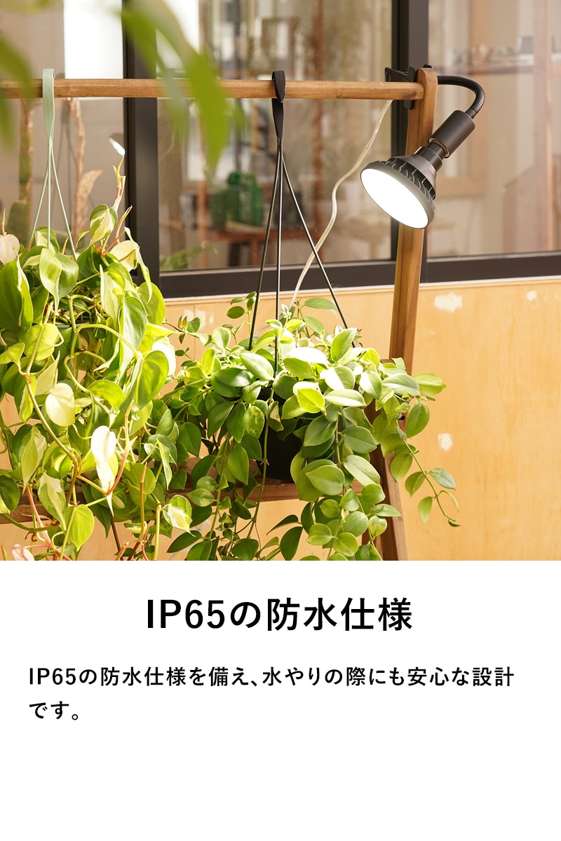 BARREL 植物育成ライト WAP-SUN-20W | インテリア,ライト・照明 | Nester