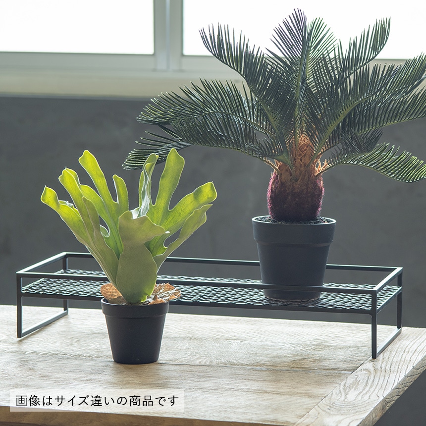 花台 屋外 おしゃれ アイアン シンプル プランツスタンド レクト 幅