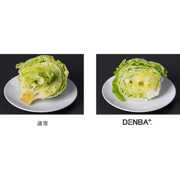 DENBA binno（ビーノ）化粧品ボックス - 株式会社ガルプロデュース
