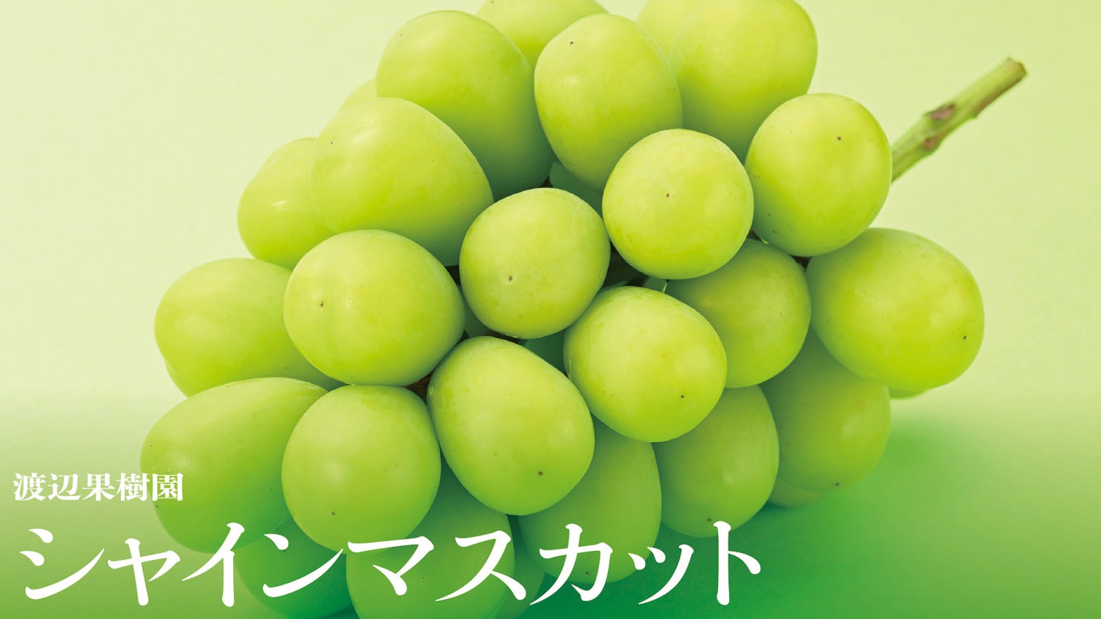 シャインマスカット