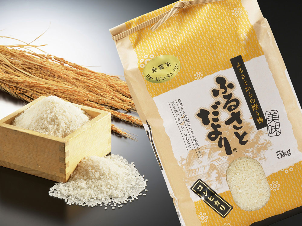 令和7年産】新潟産コシヒカリ5kg（従来品種）｜新潟の通販サイト「ガタ市」