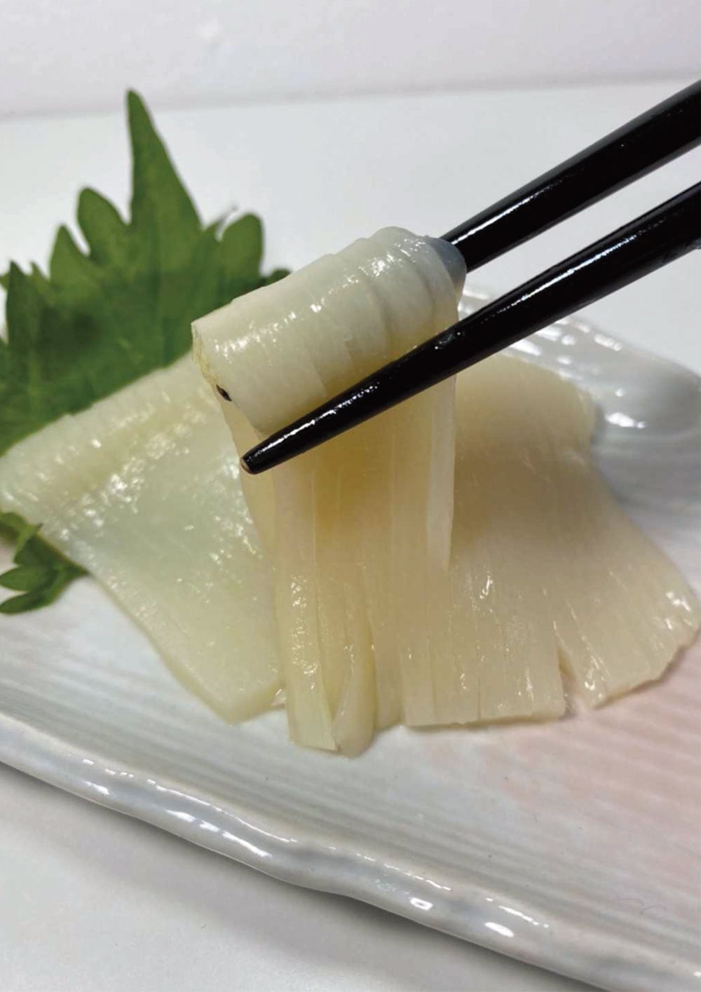 日本海船凍いかづくしセット