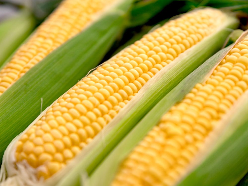 スイートコーン