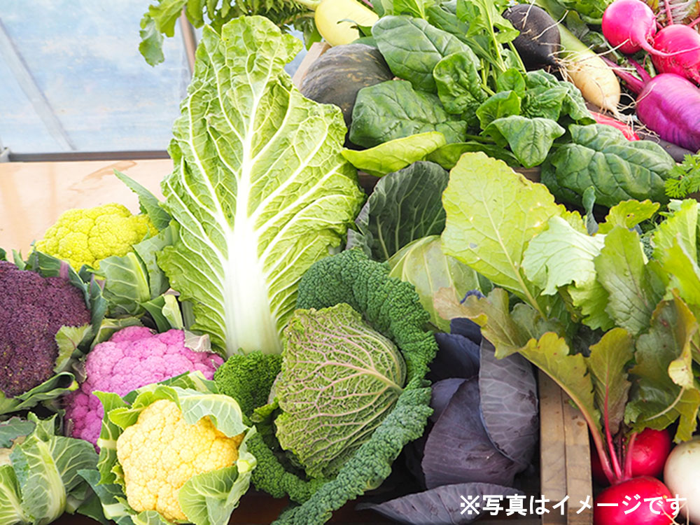 おまかせ野菜セット3000円