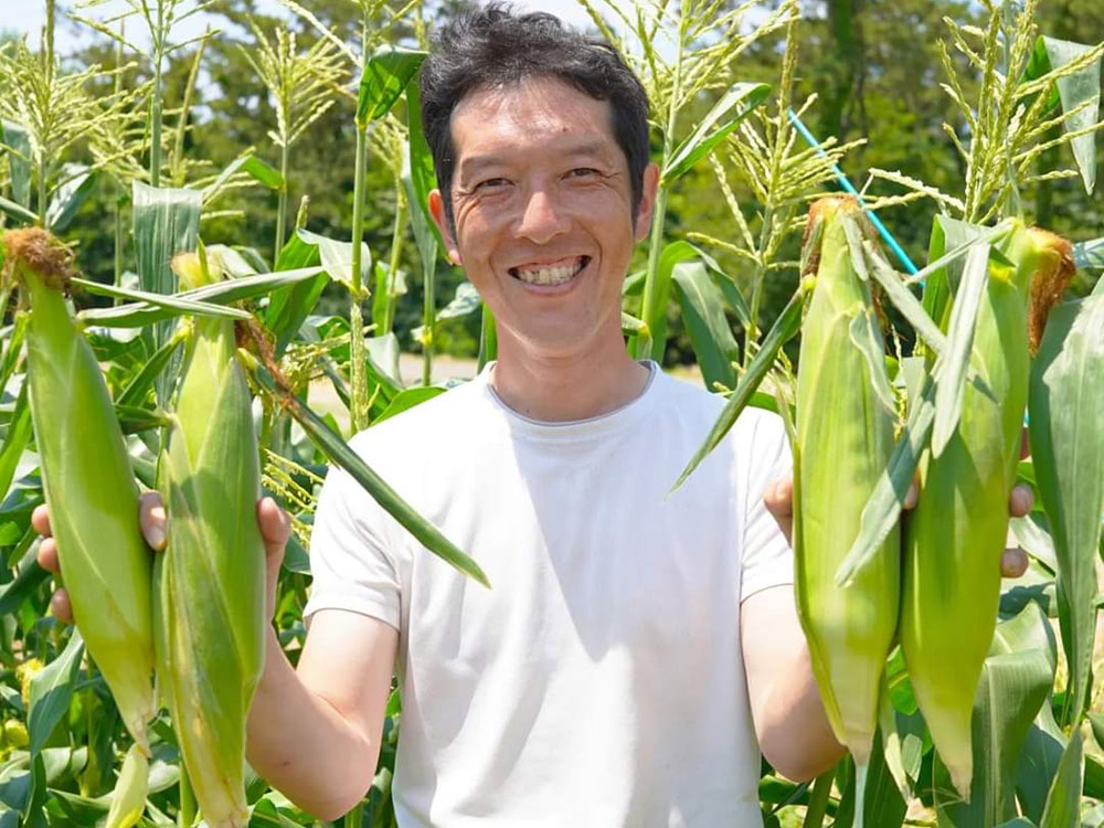 サツマイモ掘り体験