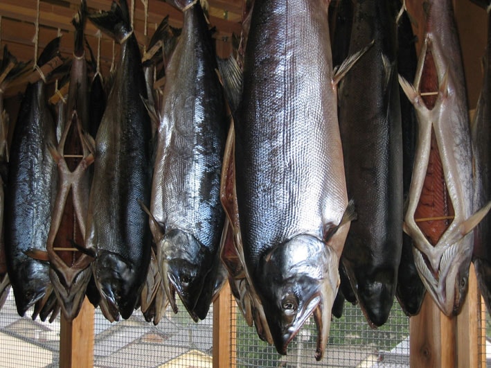 越後村上名産塩引鮭8切セット