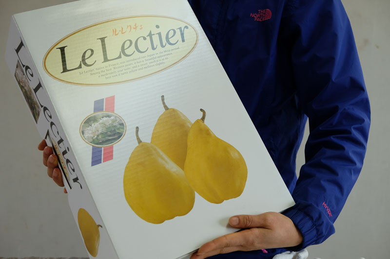 贈答用ル・レクチェ4kg｜新潟の通販サイト「ガタ市」