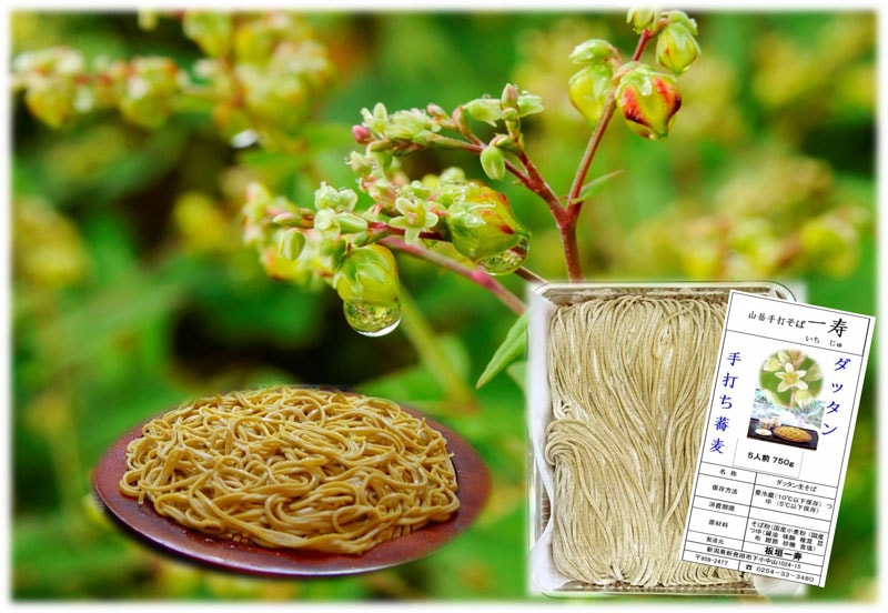 手打ダッタン生そば（750g・5人前　※つゆ付）