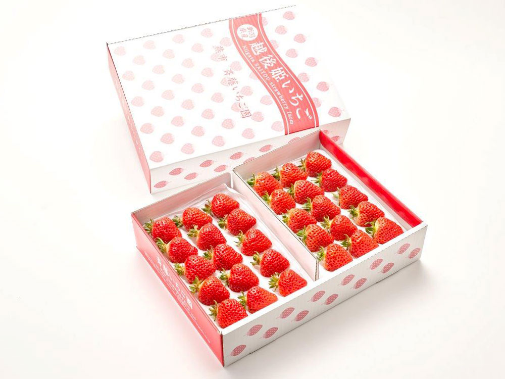 越後姫スタンダード