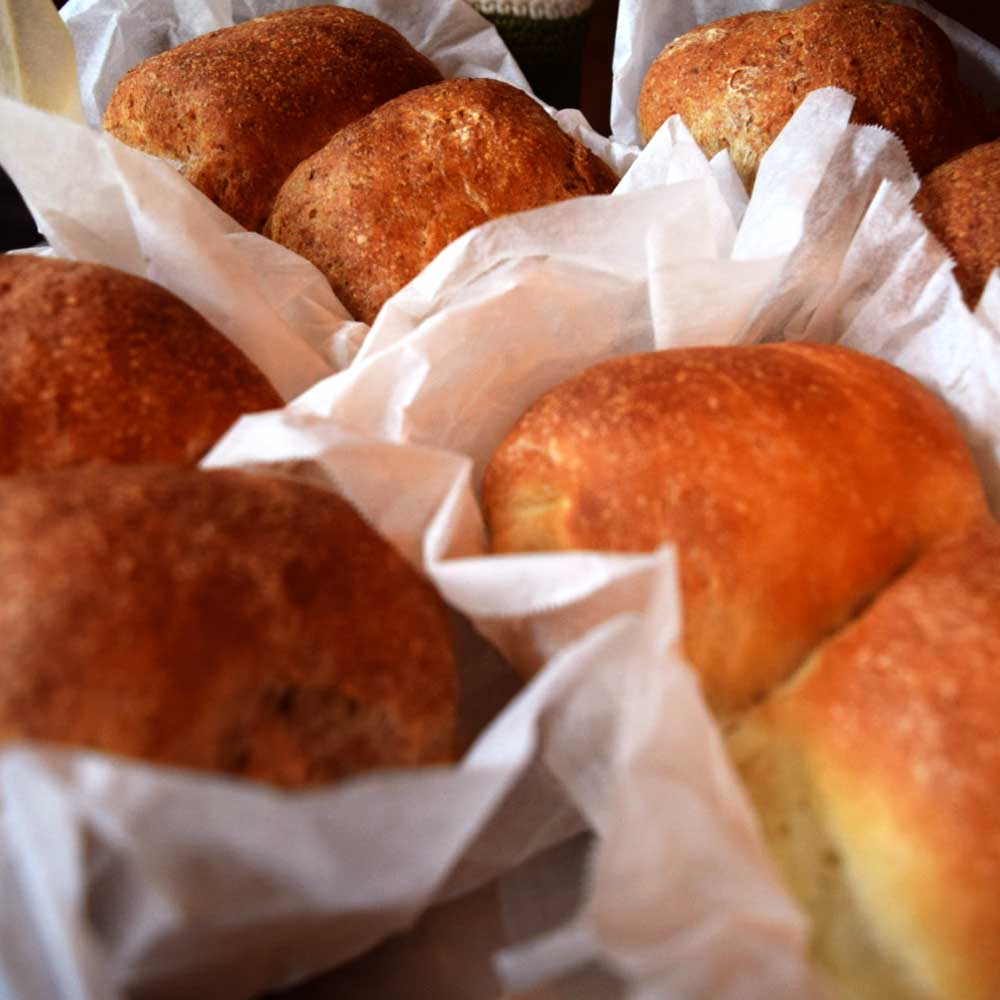 マルニチガイ・丁字MIX