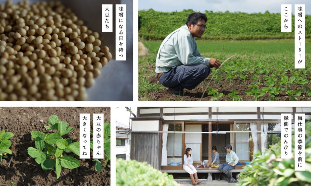 毎日味噌３年熟成1㎏×3