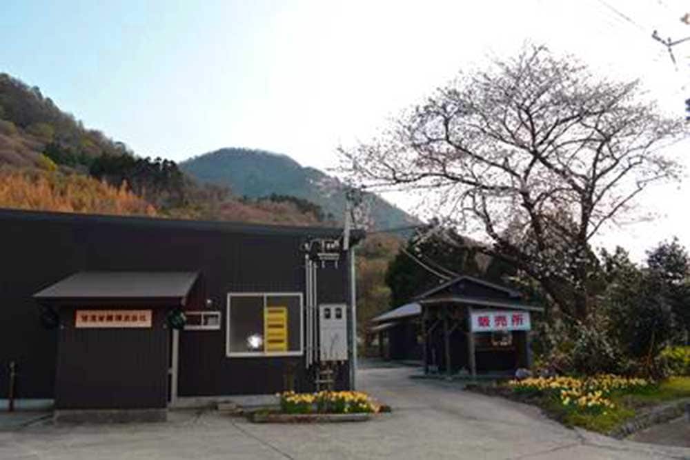 甘酒麴のお乳飲むﾀｲﾌﾟ・食るﾀｲﾌﾟ詰合セット