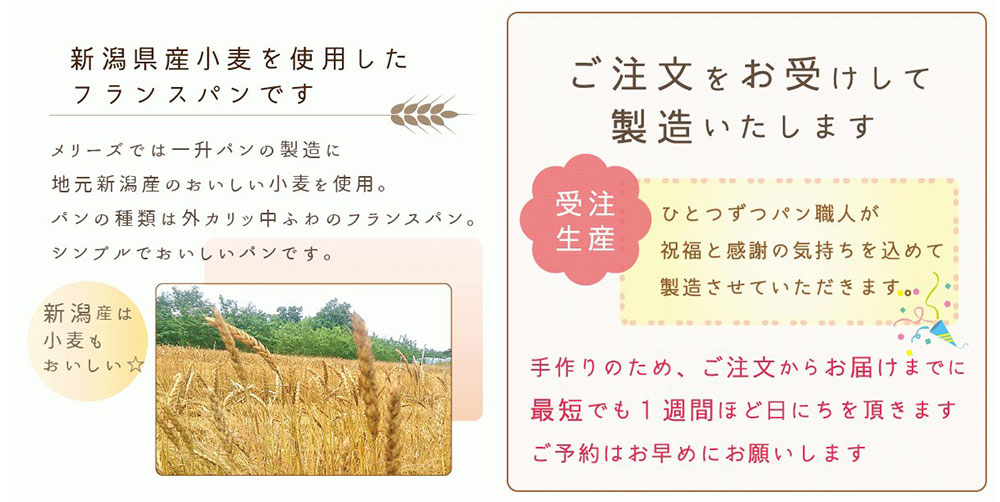 メリーズの一升もち風フランスパンと、パンダとコアラのパンセット