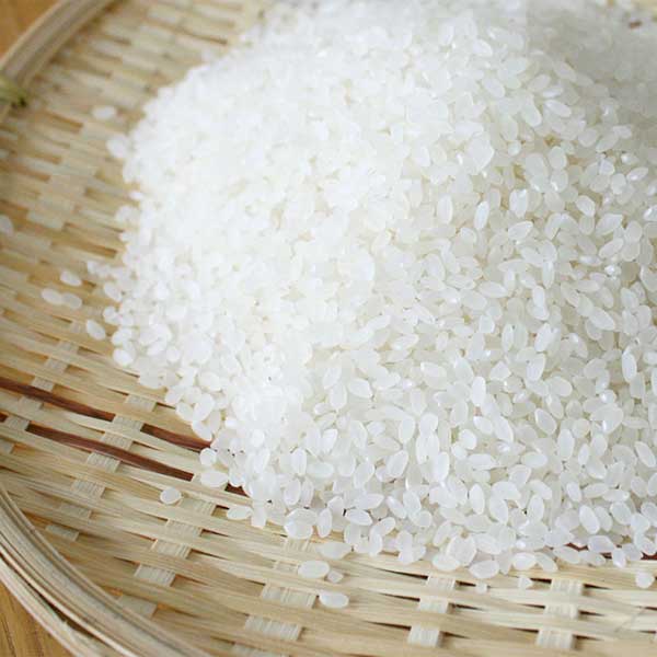 コシヒカリ　（精米・玄米）　５㎏