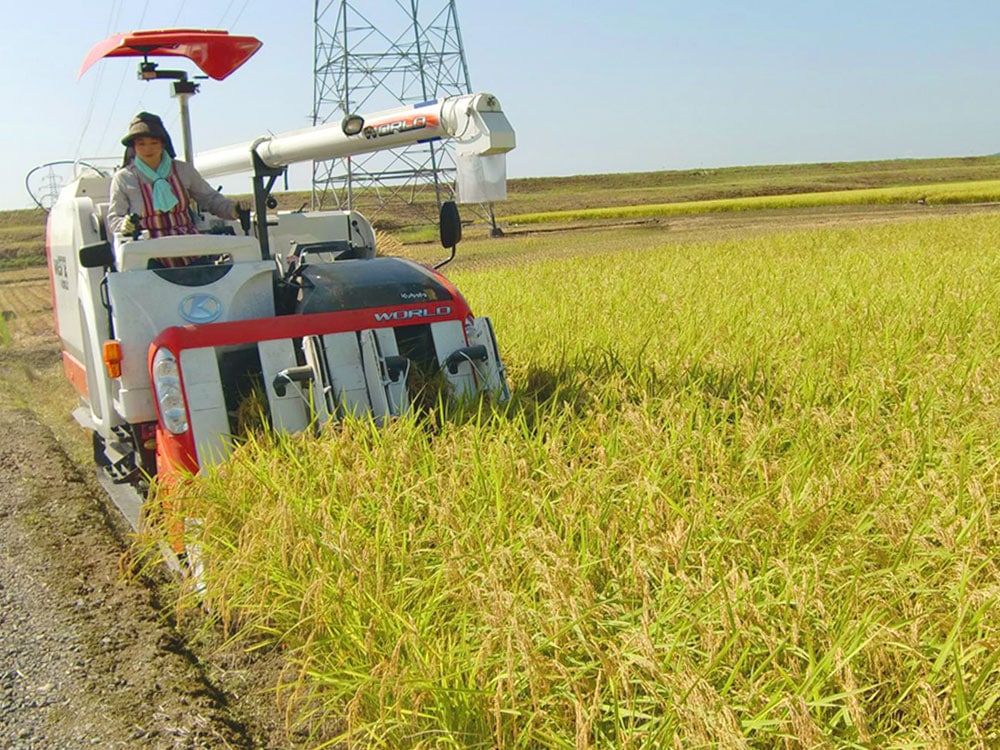 発芽前玄米　2㎏