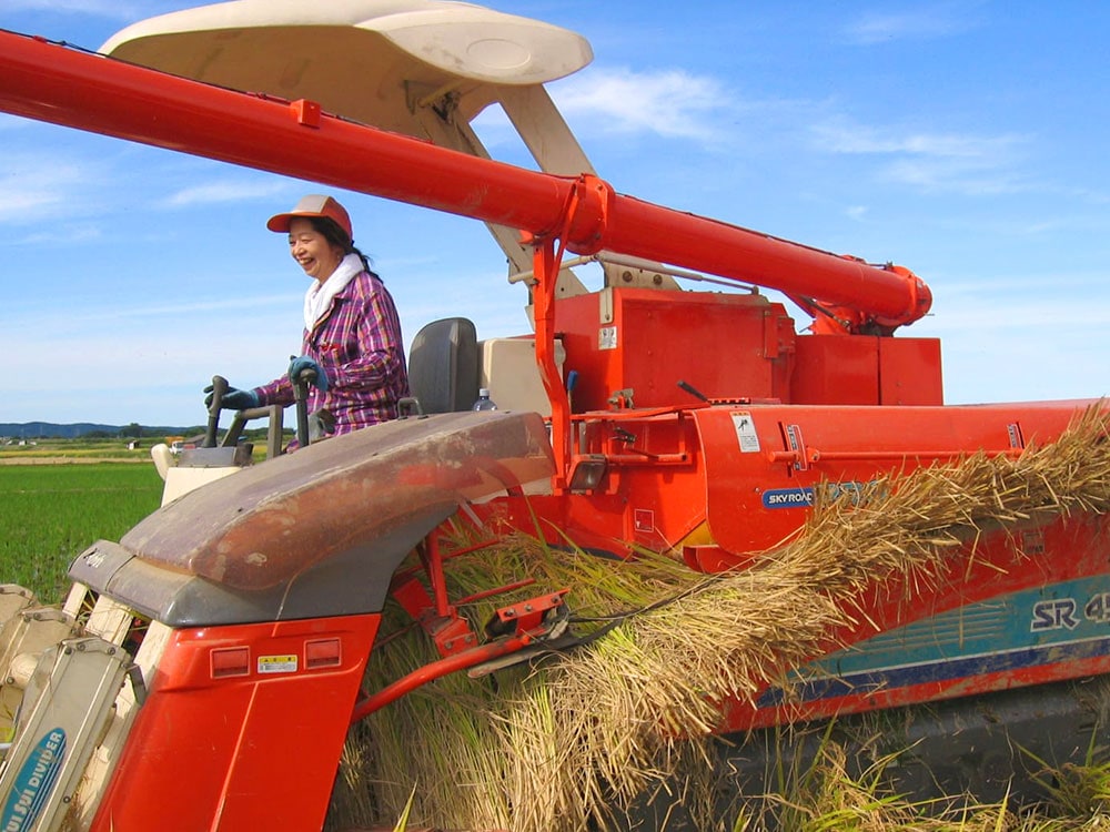 発芽前玄米　2㎏