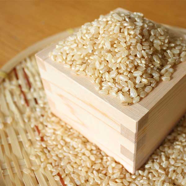 コシヒカリ　（精米・玄米）　５㎏