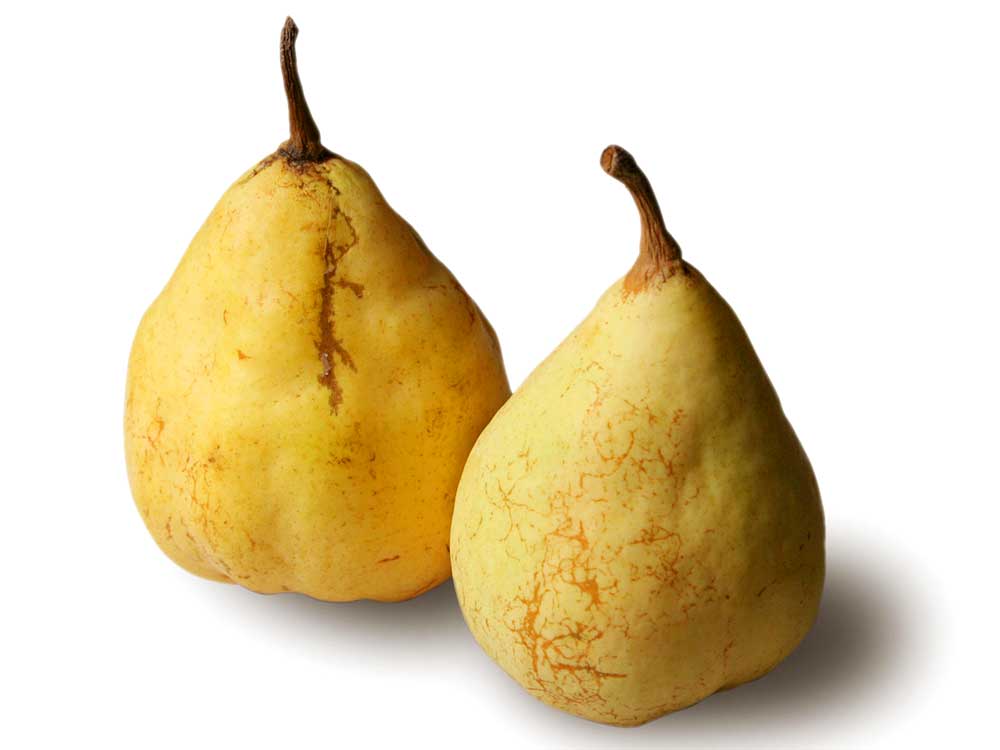 ルレクチェ自宅用2㎏