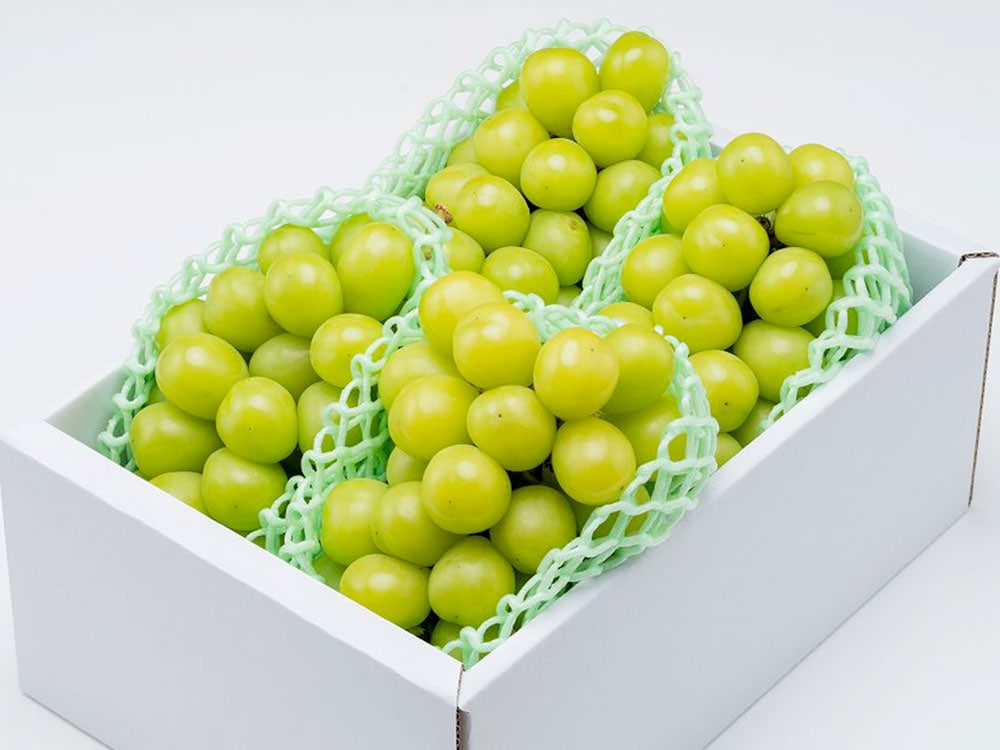 シャインマスカット１房