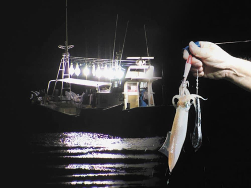 【呼子】一本釣り剣先イカ活造り