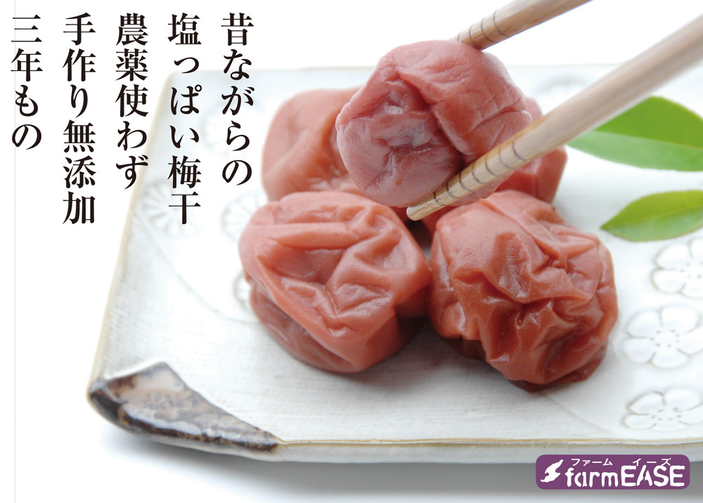 昔ながらの塩っぱい梅干 6個入り