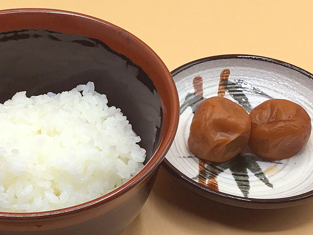 昔ながらの塩っぱい梅干 6個入り