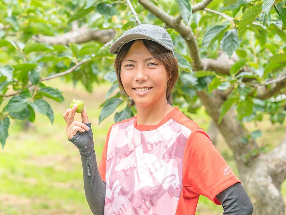 あんぽ柿15個入り