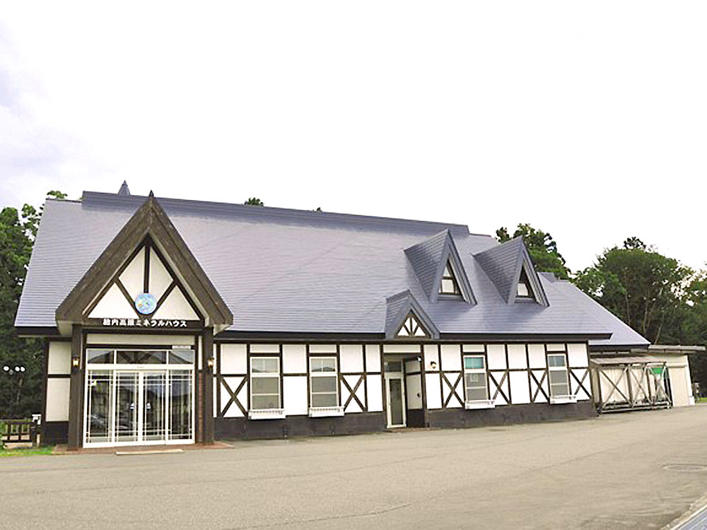 胎内高原の天然水