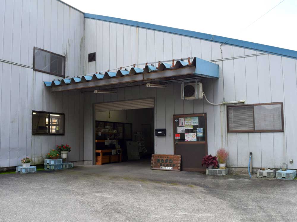 新潟県産 あらかわ生しいたけ 1㎏