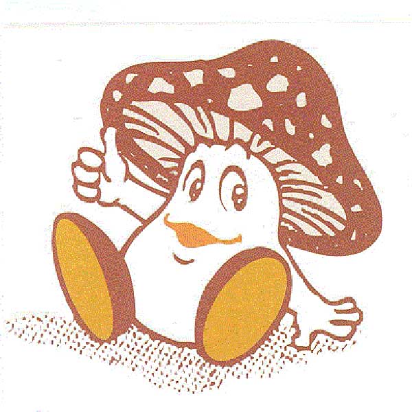 新潟県産 あらかわ生しいたけ 1㎏