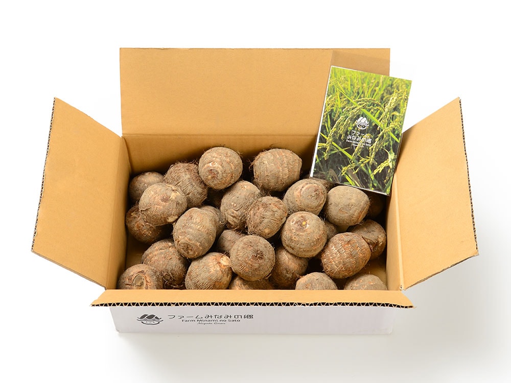 五泉産「里芋」5kg