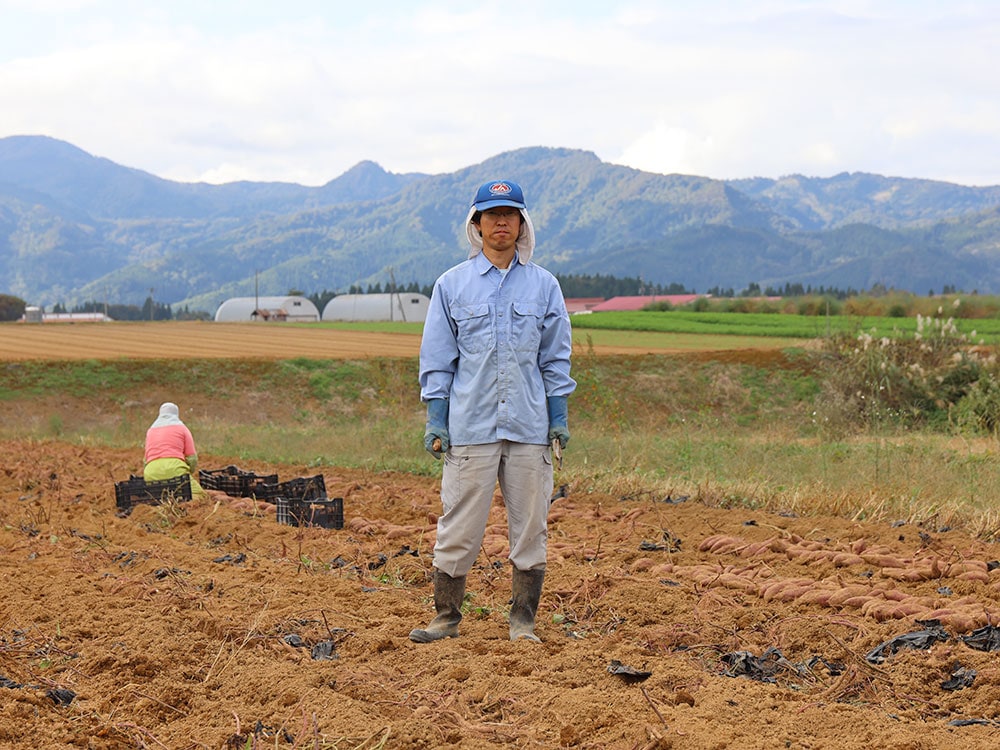 干し芋（シルクスイート1kg)