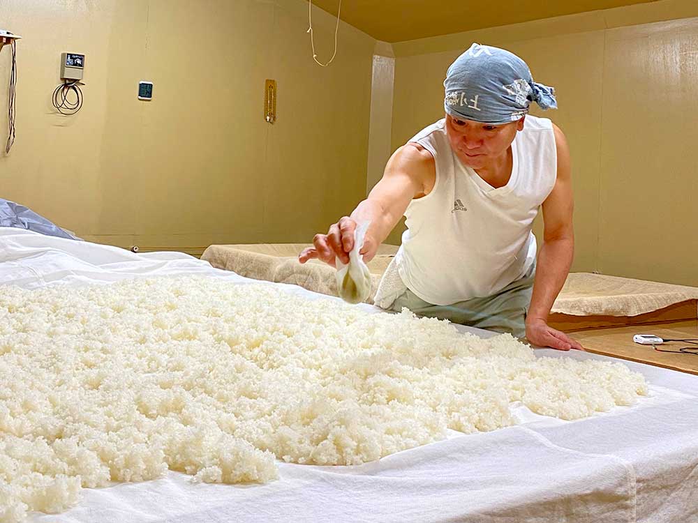 かたふね 特別本醸造