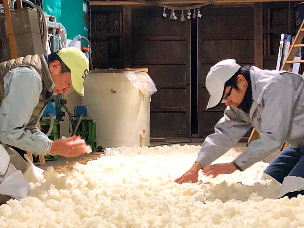 かたふね 特別本醸造