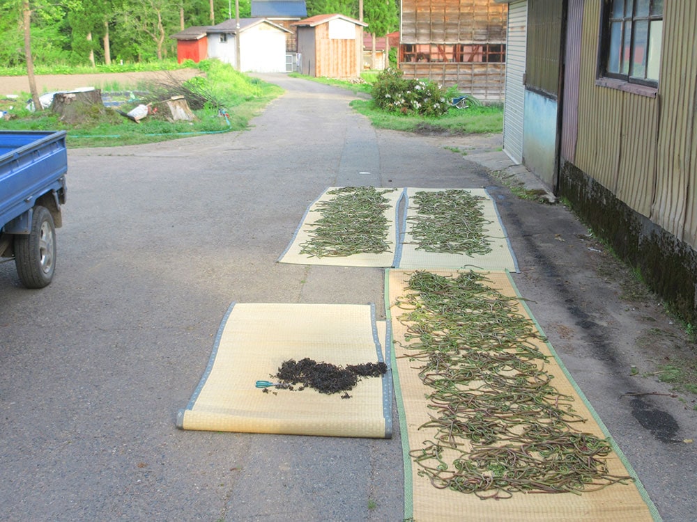 乾燥ぜんまい（300ｇ)