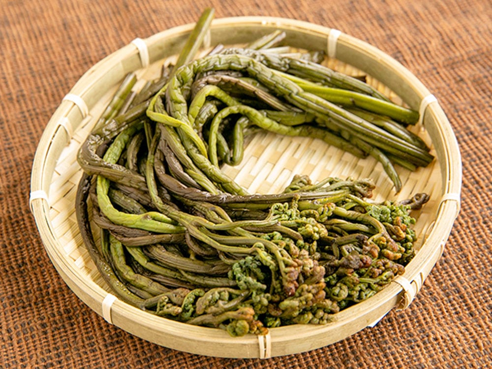 塩漬けわらび（800g）｜新潟の通販サイト「ガタ市」