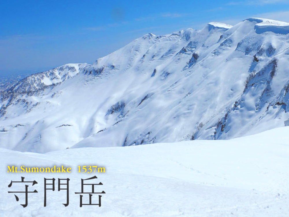 塩漬けわらび（800g）