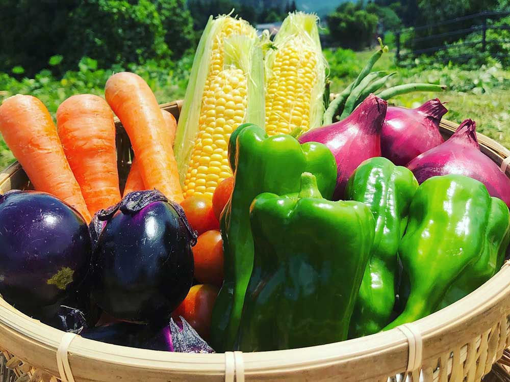 下田郷の野菜 おすすめ詰め合わせセット