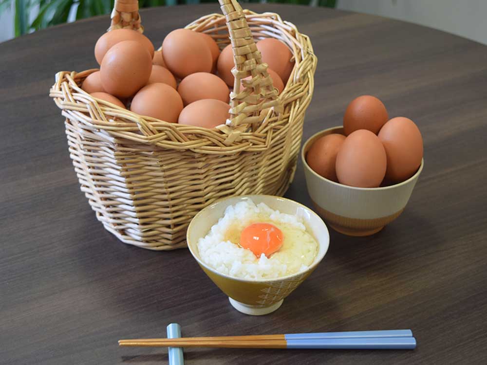 アスタ卵(8個入り)×3パック（常温)