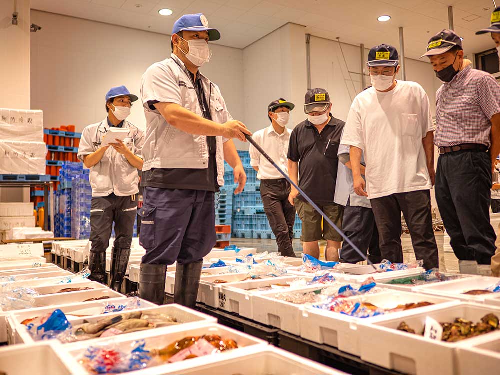 新潟県産鮮魚加工品詰合せ