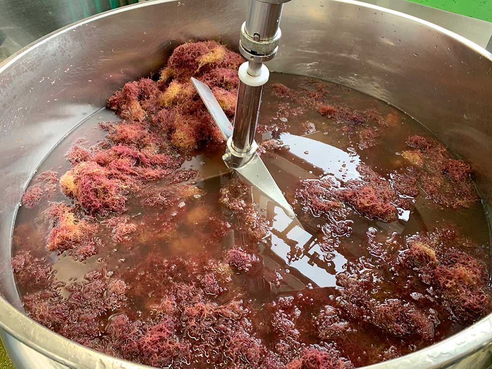 新潟うゑの佐渡恵護セット(6個)