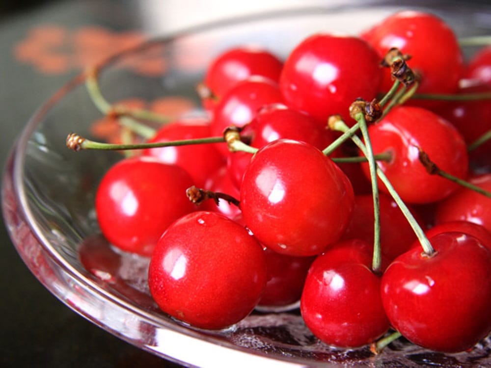 果樹の里　新潟聖籠産　佐藤錦　PREMIUM GIFT BOX