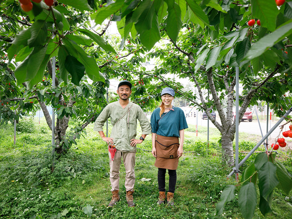 果樹の里　新潟聖籠産　佐藤錦　PREMIUM GIFT BOX