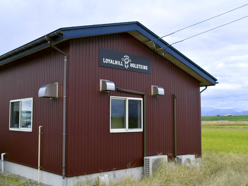 飲むフレッシュヨーグルト900ml×2本