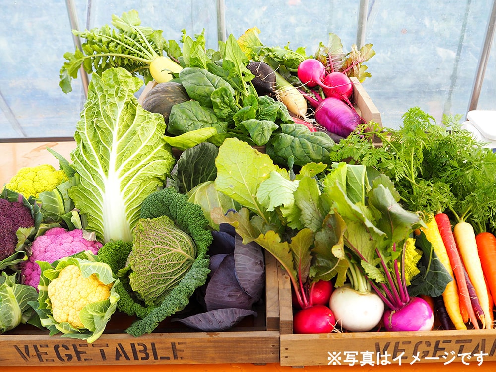 おまかせ野菜セット3000円