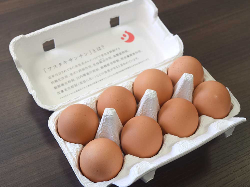 アスタ卵(8個入り)×3パック（常温)