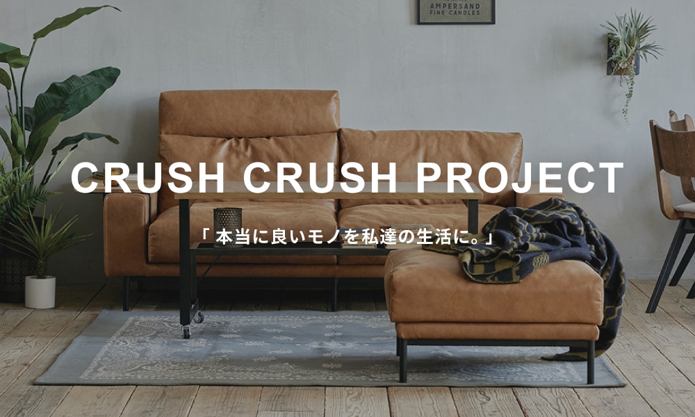 CRUSH CRASH PROJECT