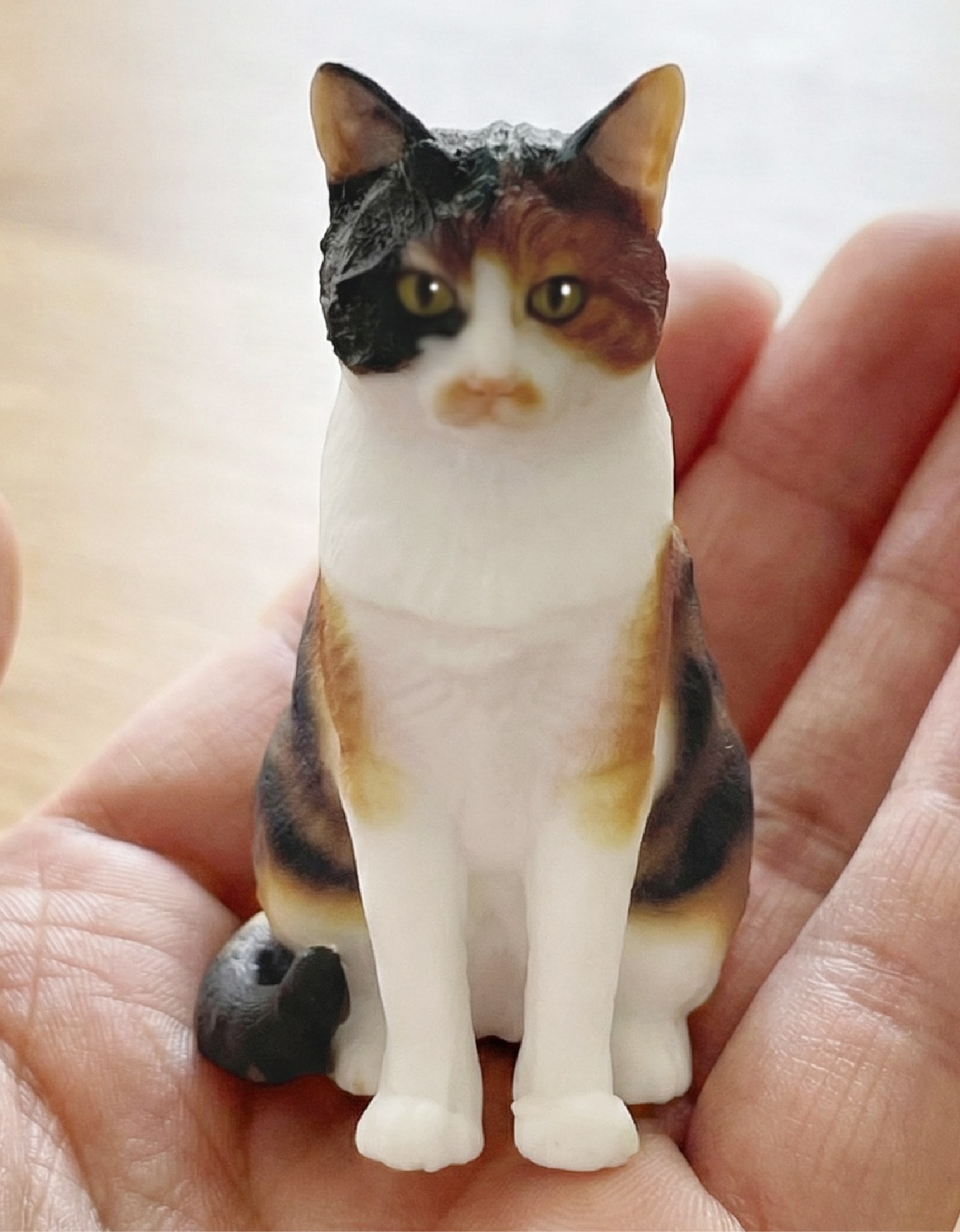����ǭ�δ����ե����奢