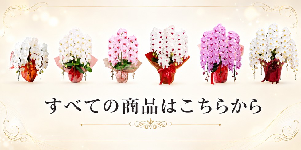 https://1187i.com/shopbrand/010/O/