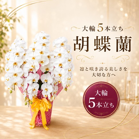 https://1187i.com/shopbrand/ct86/